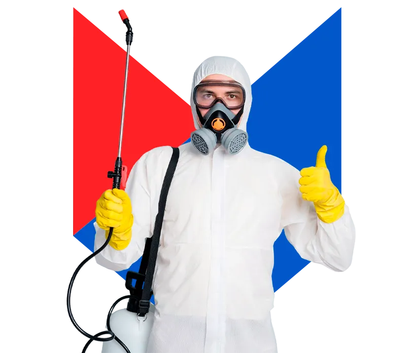 Дезинсектор Дезинсектор